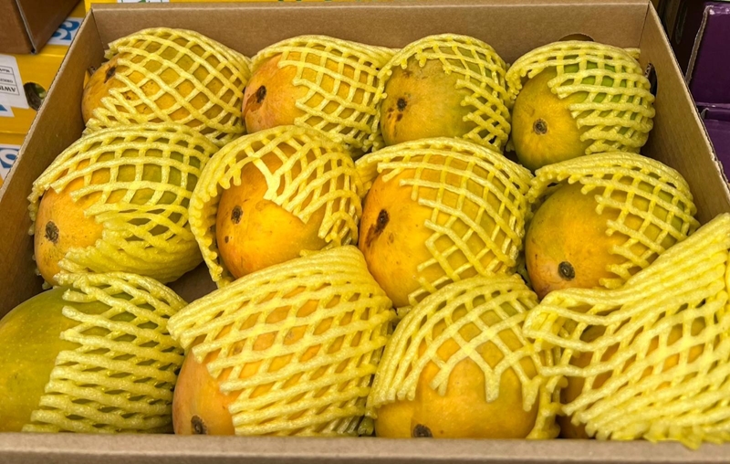 Large alphonso mangoes